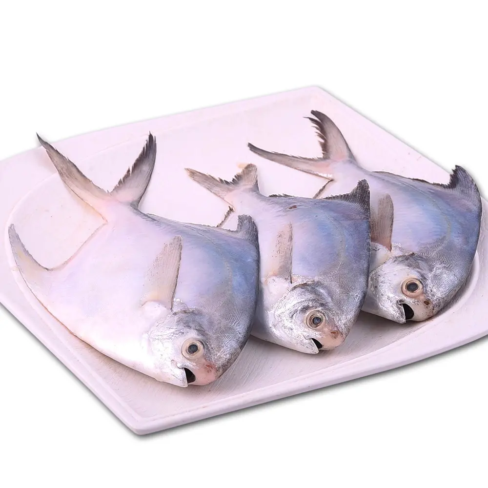 Pomfret Whole 450 g